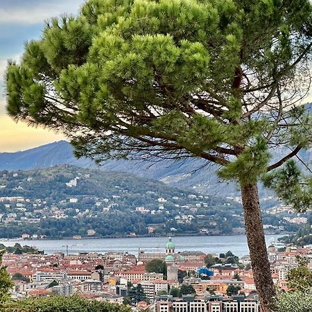 Lake Como View Apartment Eksteriør bilde