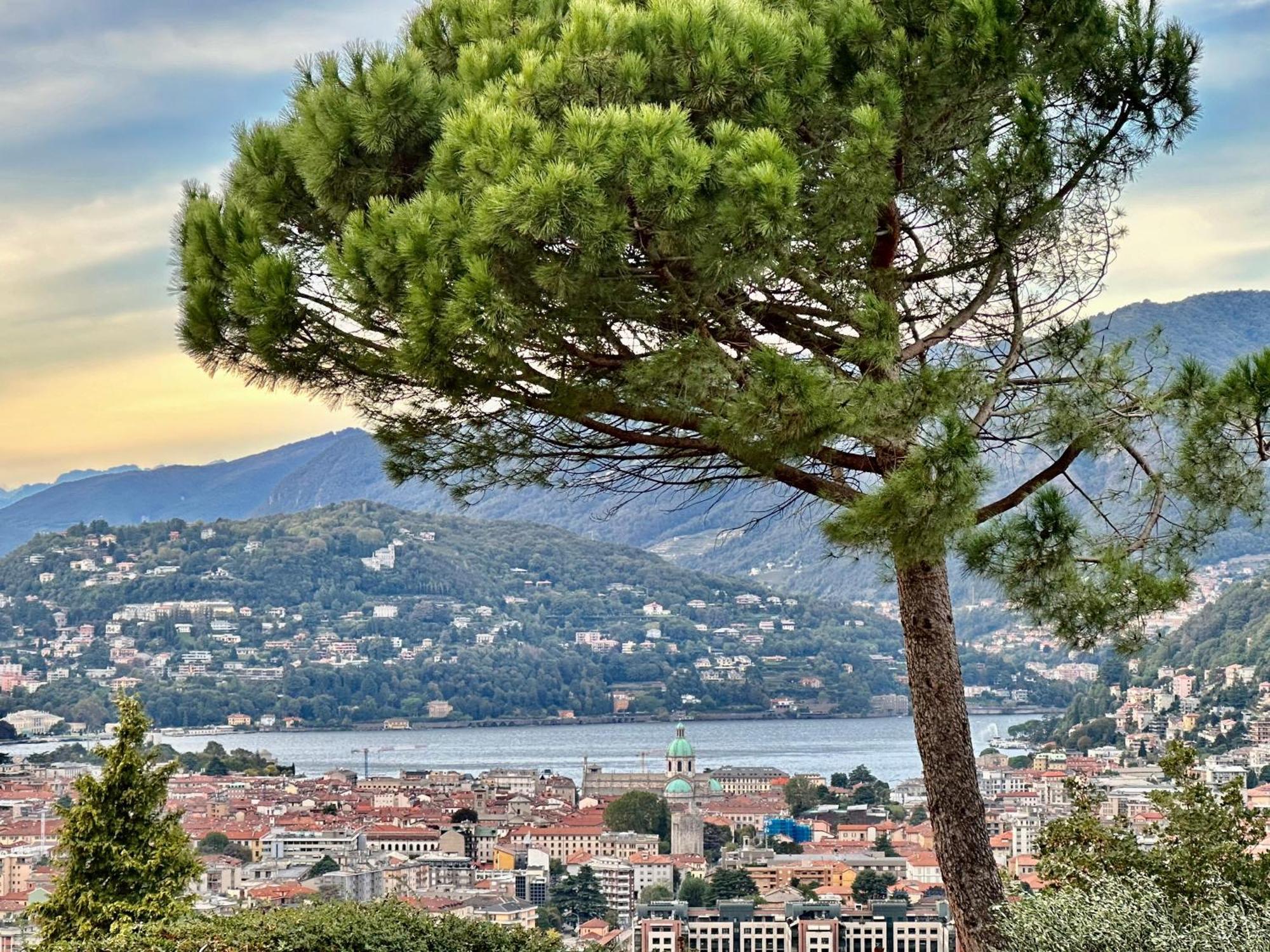 Lake Como View Apartment Eksteriør bilde
